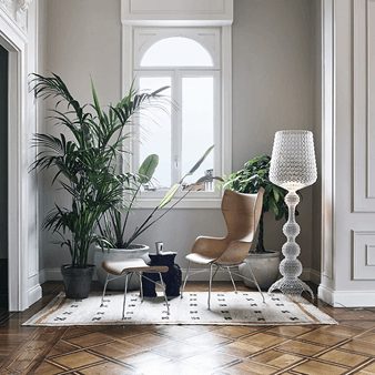 Illustration article